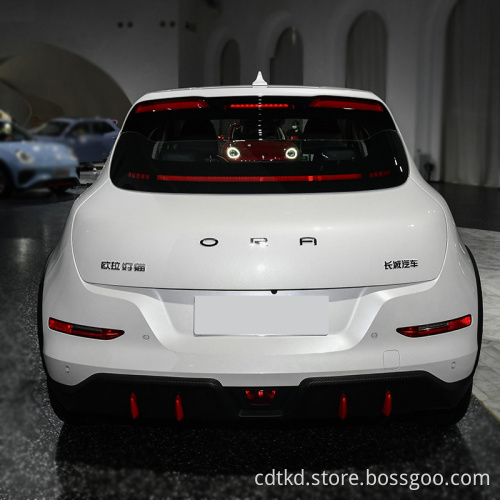China Popular Brand Ora New Energy Mulan Versi
